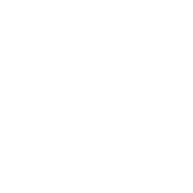 Steyr Mannlicher