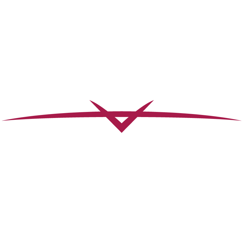 UAV Tactical Systems (U-Tacs)
